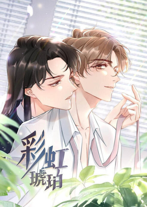 Rainbow Amber (彩虹琥珀) PT--BR